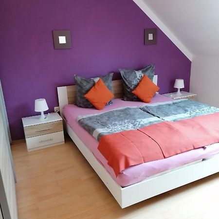 Ferienwohnung Mannes Lauingen Exteriér fotografie